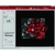 Электронный микроскоп CorrSight