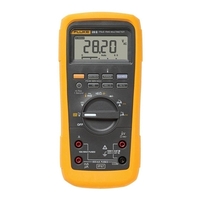 Мультиметр Fluke 28II/EUR