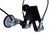 Silverwing ToFD Lite