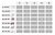 Центральный модуль с накопителем и контроллером, учебное оборудование HL 320.05