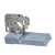 УШС НК TapiRUS